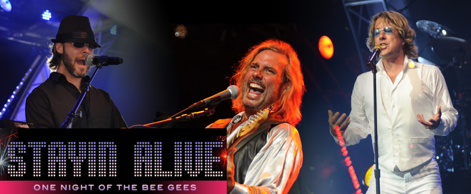 Stayin' Alive - BeeGees Tribute  Info Page Header