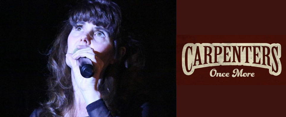 Superstar: The Songs. The Stories. The Carpenters. Info Page Header