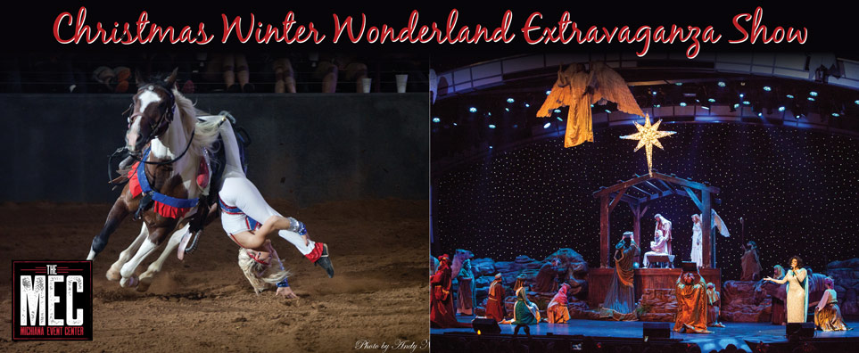 Christmas Winter Wonderland Extravaganza Show Info Page Header