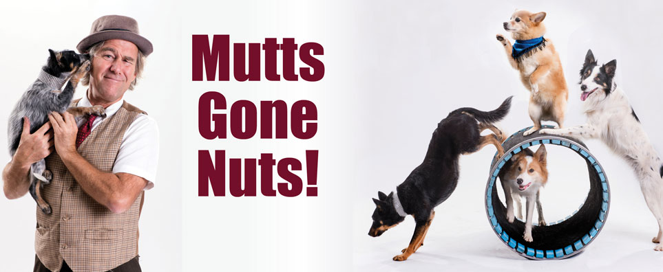Mutts Gone Nuts (reduced capacity) Info Page Header